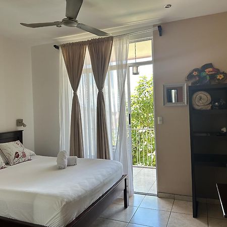 Casa De Lis Hotel & Tourist Info Centre Турриальба Экстерьер фото